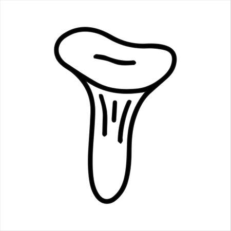 Vector chanterelle mushroom, wild raw vegan food isolated on white background icon. Illustration for seasonal design, textile, decoration kids playroom or greeting card. Hand drawn prints and doodles.のイラスト素材