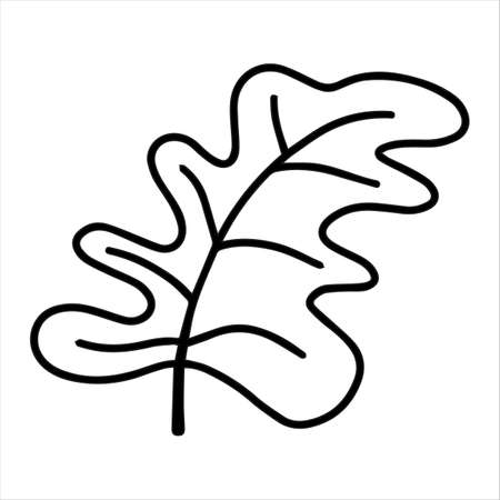 Cute doodle autumn vector oak leaf isolated on white on white background. Hand drawn vector illustration for coloring page and art books for adults and kids.のイラスト素材