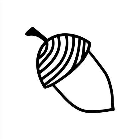 Vector acorn, oak fruit isolated on white background icon. Illustration for seasonal design, textile, decoration kids playroom or greeting card, autumn and halloween. Hand drawn prints and doodle.のイラスト素材