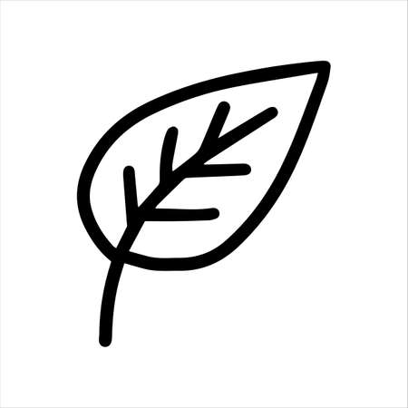 Cute doodle autumn vector linden leaf isolated on white on white background. Hand drawn vector illustration for coloring page and art books for adults and kids. Single tree leaf simple element.のイラスト素材