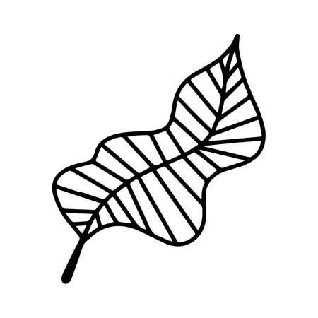 Vector wild tropical banana leaf isolated on white background. Funny coloring and cute illustration for seasonal design, textile, decoration kids playroom or greeting card. Hand drawn doodle prints.のイラスト素材