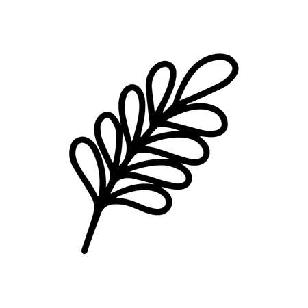 Vector tropical acacia leaf isolated on white background. Funny coloring and cute illustration for seasonal design, textile, decoration kids playroom or greeting card. Hand drawn prints and doodles.のイラスト素材