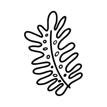 Vector wild tropical leaf isolated on white background. Funny coloring and cute illustration for seasonal design, textile, decoration kids playroom or greeting card. Hand drawn prints and doodles.のイラスト素材