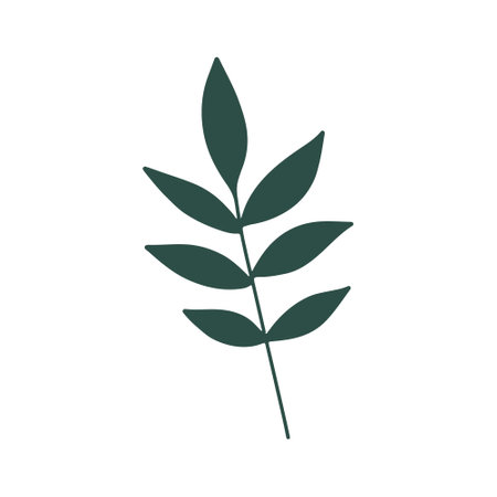 Botanical green leave, herb and branch. Hand drawn floral design element. Perfect leave for wedding invitations, greeting cards, blogs, posters and more. Concept use botanical leave in floral designのイラスト素材