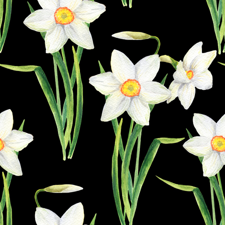 Watercolor narcissus flower seamless pattern. Hand drawn daffodil bouquet illustration isolated on black background. Floral design for textile, wallpaper, wrapping, greeting card, scrapbooking, wedding invitation and package cosmeticsの写真素材