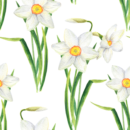 Watercolor narcissus flower seamless pattern. Hand drawn daffodil bouquet illustration isolated on white background. Floral design for textile, wallpaper, wrapping, greeting card, scrapbooking, wedding invitation and package cosmeticsの写真素材