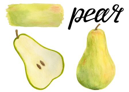 Watercolor pear illustration fruit set with calligraphy lettering. Whole and half with brush colored smear isolated on white backgroundの写真素材