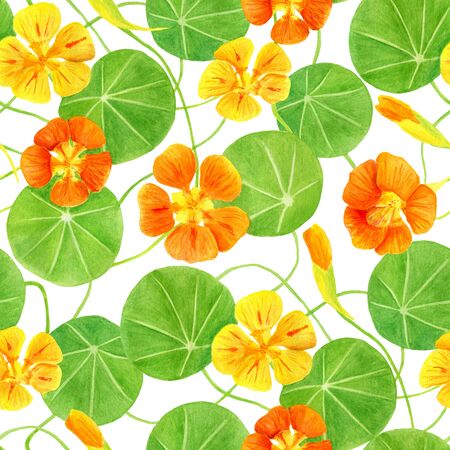 Red, orange, yellow nasturtium flowers and leaves seamless pattern. Hand drawn botanical watercolor illustration with garden flowers. Floral decoration for invitation, greeting cards, textile, printの写真素材