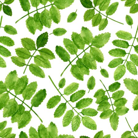 Watercolor bright rose leaves seamless pattern. Hand drawn green plants illustration on white background for home decor, textile, wrapping paper, print, decoration, cards.の写真素材