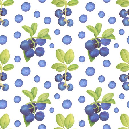 Watercolor blueberry seamless pattern. Hand drawn branches with bilberry and leaves on white background.の写真素材