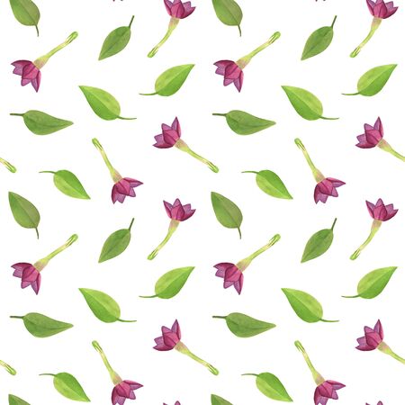 Watercolor flower buds of pink tobacco with leaves seamless pattern. Hand drawn floral illustration on white background for textile, wrapping paper, greeting card, fashion, design, decorationの写真素材
