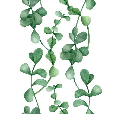 Watercolor eucalyptus branches seamless pattern. Hand drawn silver dollar plant with round leaves isolated on white background. Border template for design, wallpaper, wrapping, cards, home decorの写真素材