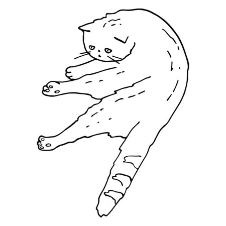 Outline  lying.  contour vector illustration. Cute kitten in funny pose for coloring book page, decoration, cards, banners, veterinary, pet shop, cattery, printのイラスト素材