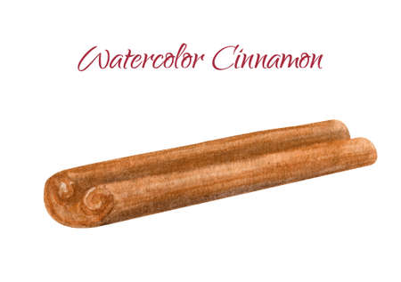 Watercolor cinnamon stick. Hand painted brown cinamon bark strip isolated on white background. Plant element for Christmas decoration, cooking, cuisine, aromatherapy, spice.の写真素材