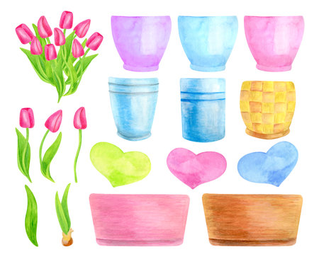 Watercolor spring bouquet creator set. Hand drawn tulip flowers, leaves, hearts and colorful flowerpots isolated on white background. Cute floral illustration for cards, Easter, Mothers Day.の写真素材