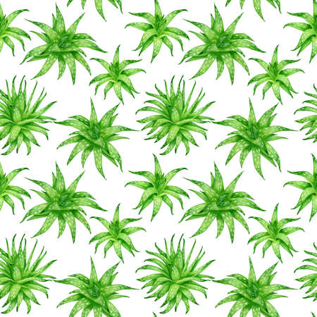 Watercolor aloe vera seamless pattern. Lush evergreen succulent plants painting isolated on white background. Botanical design for cosmetics, package, decoration, herbal medecine, skin careの写真素材