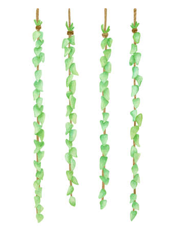 Watercolor greenery garland illustration. Hand drawn hanging leaves isolated on white. Floral wall...