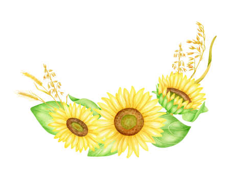 Sunflower arrangement with spikelets and leaves. Hand drawn watercolor floral illustration. Bunch of yellow autumn flowers isolated on white background. Botanical border frame paintingの写真素材