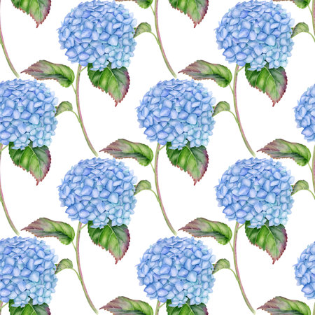 Watercolor Hydrangea seamless pattern. Hand painted blue Hortensia flower with leaves and stem isolated on white background. Flowering plant repeated design for wallpaper, package, fabrics, textileの写真素材