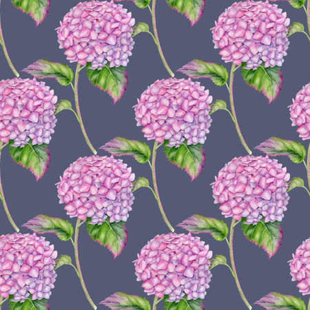 Watercolor Hydrangea seamless pattern. Hand painted pink Hortensia flower with leaves and stem on dark purple background. Flowering plant repeated design for wallpaper, package, fabrics, textileの写真素材