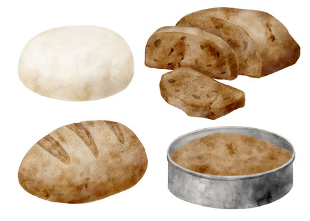 Watercolor bread illustration set. Hand drawn loaf of wheat bread, sliced rye bread, dough and pie pan isolated on white background. Baking recipes for cookbook, menu, kitchen posterの写真素材