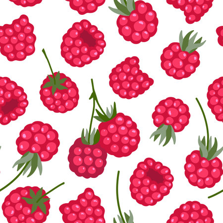 Raspberry vector seamless pattern. Sweet red berries isolated on white. Juicy fruit background. Hand drawn cute simple cartoon healthy ripe berries repeated illustration for packaging, textile, printのイラスト素材