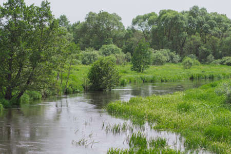 narrow river flowing in the forestの写真素材