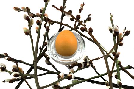Easter willow and egg on a white backgroundの写真素材