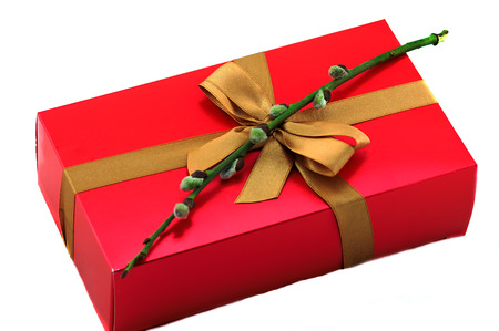 red gift box with bow and willowの写真素材