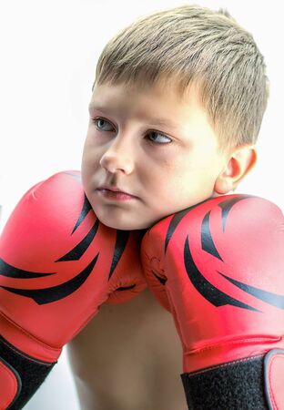 Portrait of a boy in red boxing glovesの写真素材