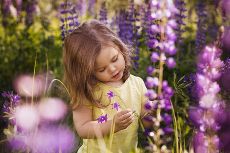 Little girl among the flowersの写真素材