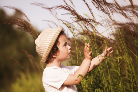 little girl is playing on nature in summerの写真素材