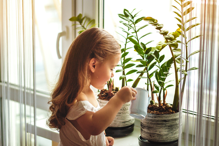 little girl watering and caring for house plantsの写真素材