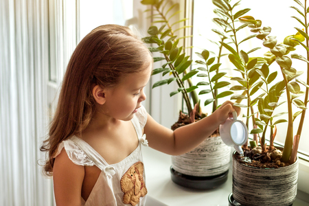 little girl watering and caring for house plantsの写真素材