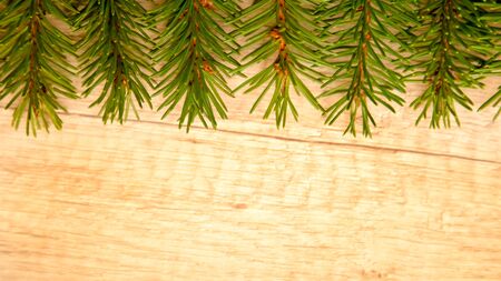 spruce twigs on wooden background frameの写真素材