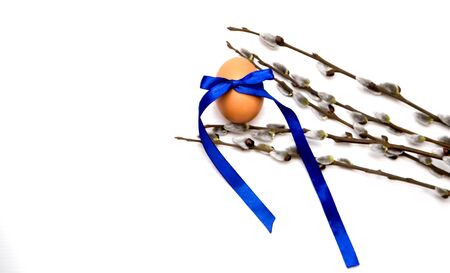 Easter egg and pussy-willow twigs on a white backgroundの写真素材