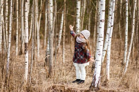 little cute girl in the birch forest in springの写真素材