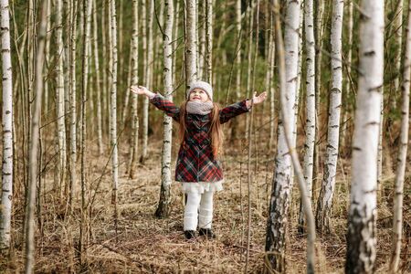 little cute girl in the birch forest in springの写真素材