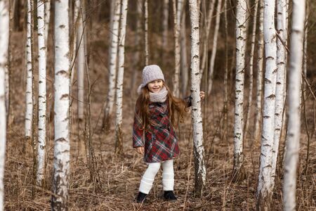 little cute girl hugs a birchの写真素材