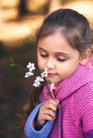 little cute girl sniffs cherry flowersの写真素材