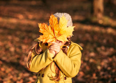 little girl 5 years old with autumn maple leaves laughs