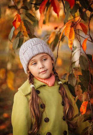 little girl 5 years old with autumn maple leaves.の写真素材
