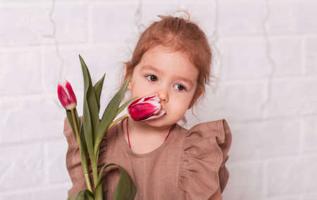 Portrait of a little pretty girl with tulip flowers on a white backgroundの写真素材