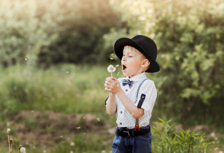 Little boy rides a balance bike in the summer in nature. Run bicycle without pedalsの写真素材
