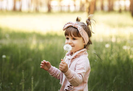 Little cute girl having fun and playing in the park in the summerの写真素材