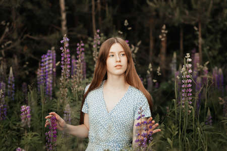 A young beautiful girl with long red hair in a clearing among the flowers. Lupinesの写真素材