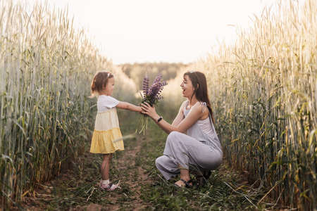A little girl gives a bouquet of lupines to her mother on the field in the summer. Concept of love and happy familyの写真素材