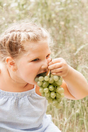 Cute little girl with a bouquet of daisies in nature in the summerの写真素材