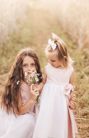 Two little girls sisters hug and collect flowers in the summerの写真素材