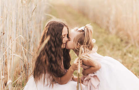 Two little girls sisters hug and collect flowers in the summerの写真素材